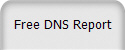 Free DNS Report